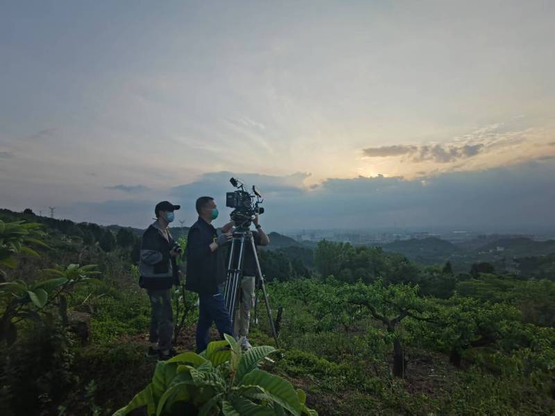 创意破圈！郁南县电商产品宣传视频用故事化叙事引爆流量